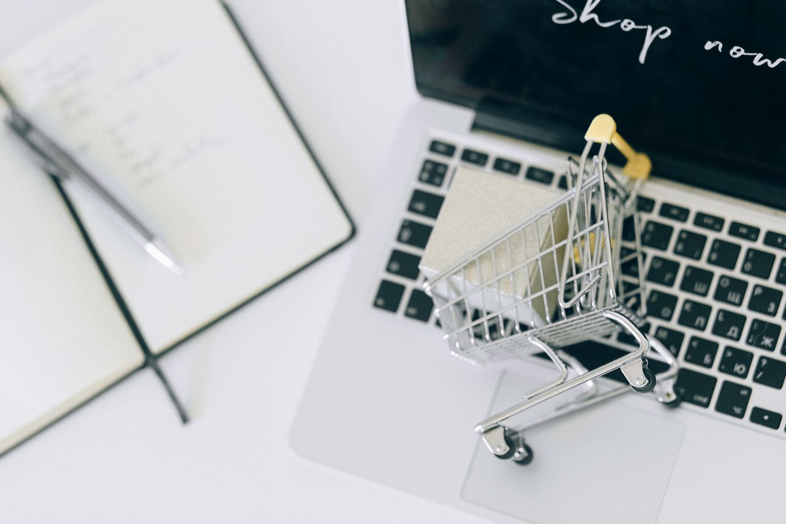Laptop screen showing an online shopping cart at checkout, the kind of store ecommerce SEO in India helps rank on Google